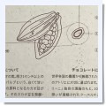 カカオ豆の、お勉強 - blog ～いろいろ・もろもろ～